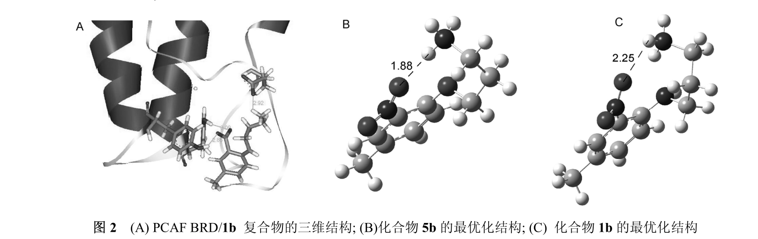 邻苯二甲酰亚胺